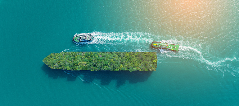 Article Een nieuw tijdperk voor duurzame maritieme activiteiten Image