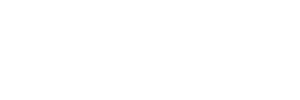 Flexera logo