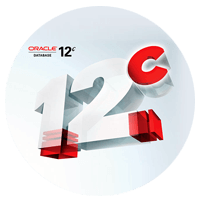 Oracle Database software