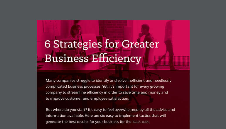 Article 6 Business Efficiency Strategies Image