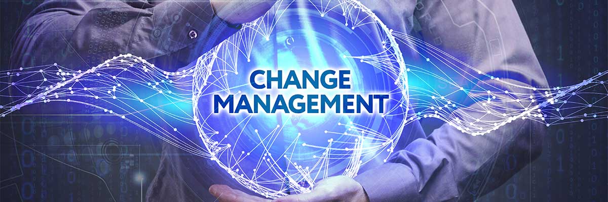 Article Change Management voor optimale adoptie Image