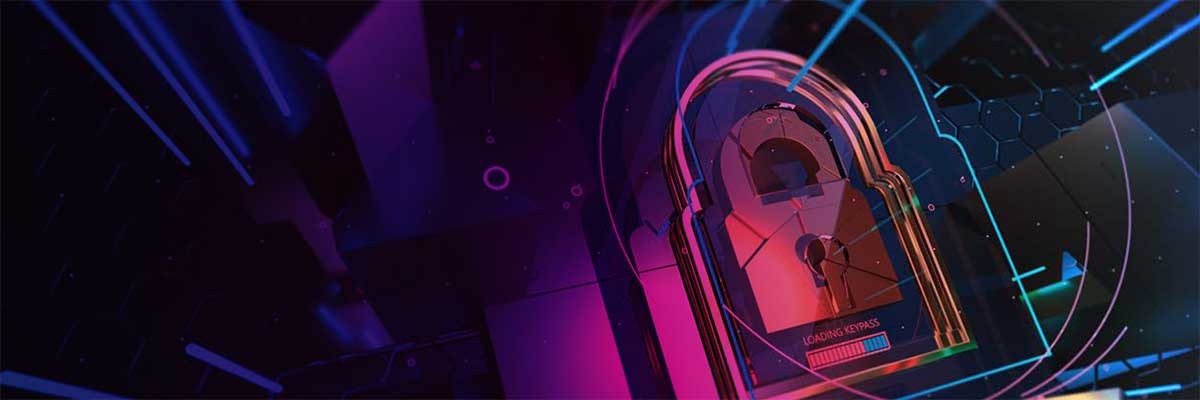 Insight Cyber Security Assessment