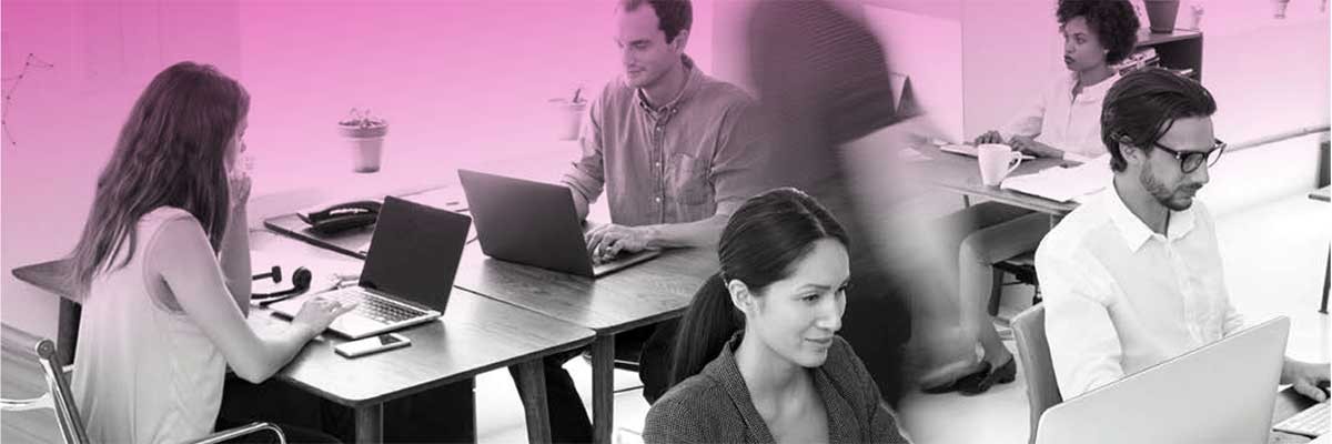 Digitale Werkplek voor de Zakelijke Dienstverlenging