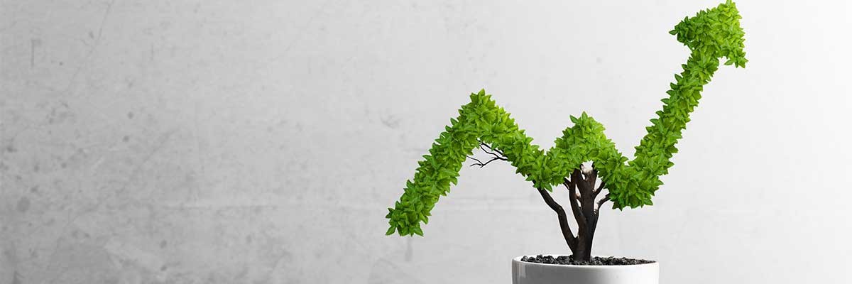 Een plant die groei laat zien