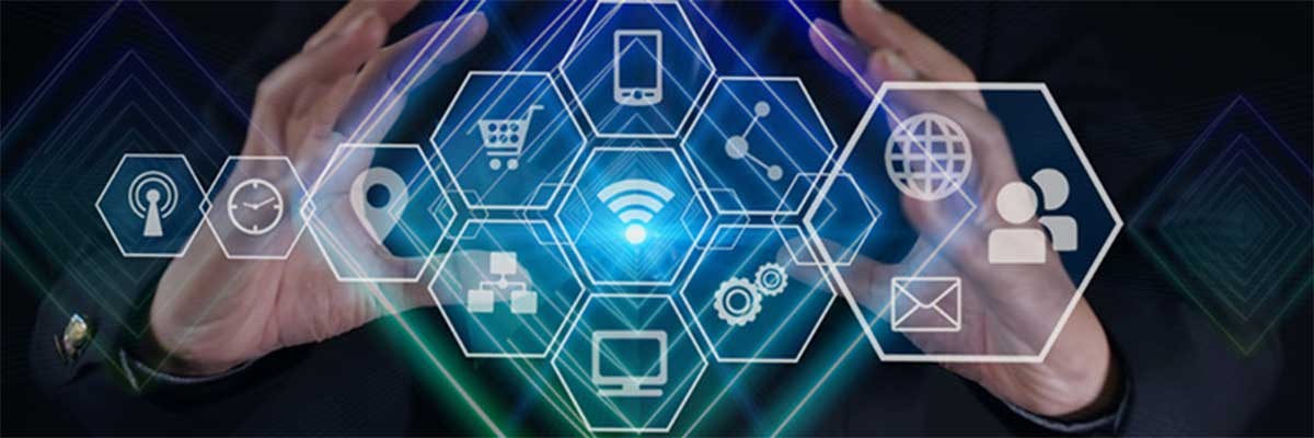 Afbeelding van Digitale ecosystemen