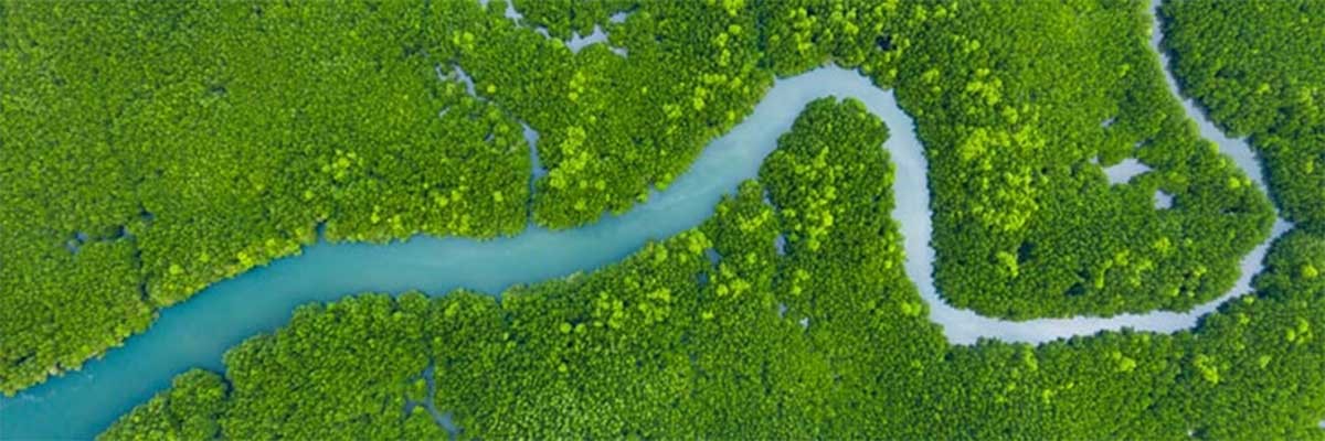 Een rivier slingert door een landschap