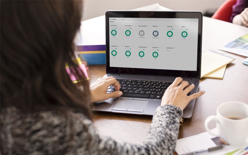 Kosten verminderen en de werkdruk aanpassen Vrouw die werkt aan laptop apparaat met behulp van data management systeem